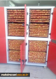 پویانگر