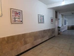محیط