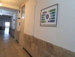محیط